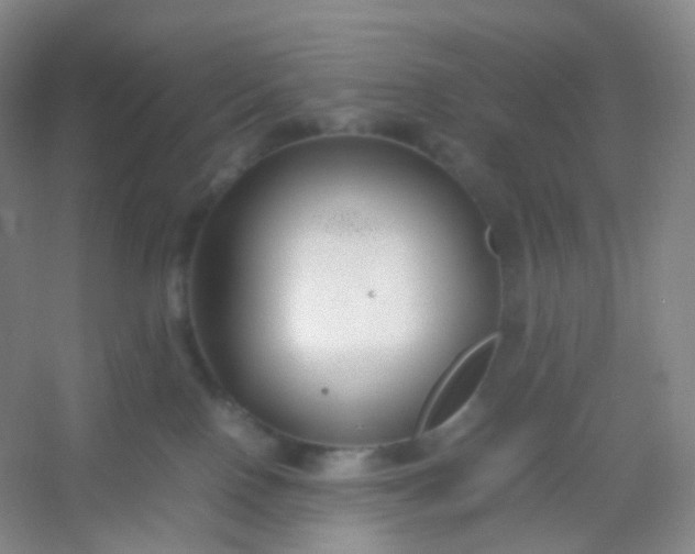 X0000054450090200508121922