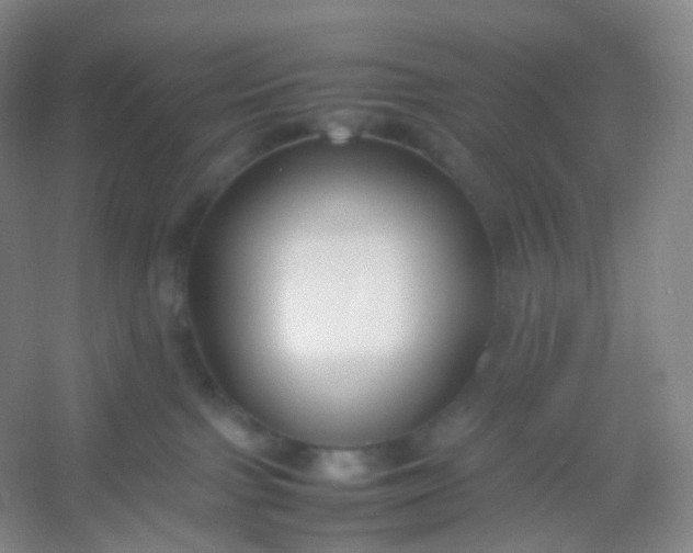X0000054450091200508121922