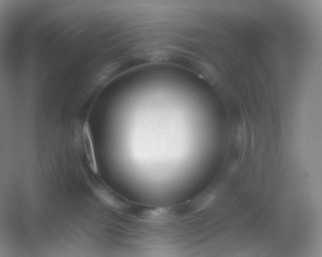 X0000054450092200508121922