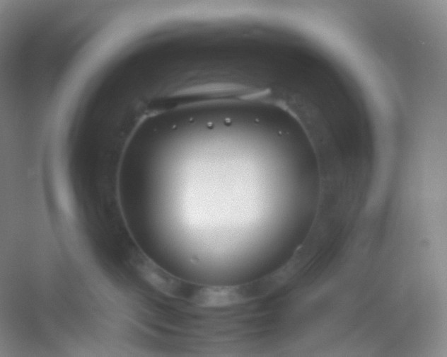 X0000054450093200508121922