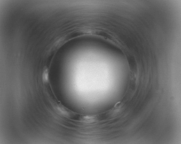 X0000054450095200508121922