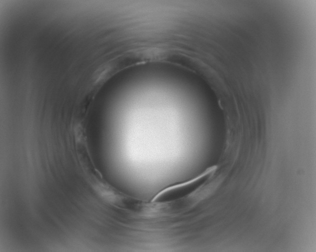 X0000054450096200508121922