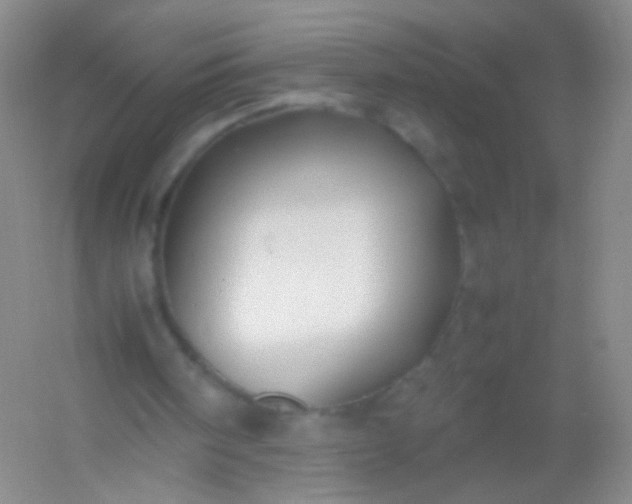 X0000054450098200508121921