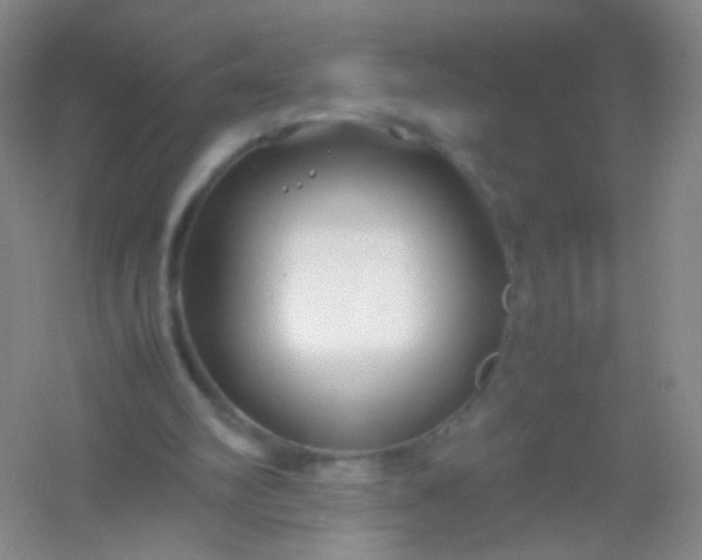 X0000054450102200508121921