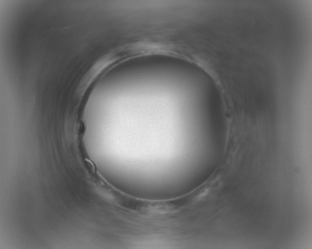 X0000054450103200508121921