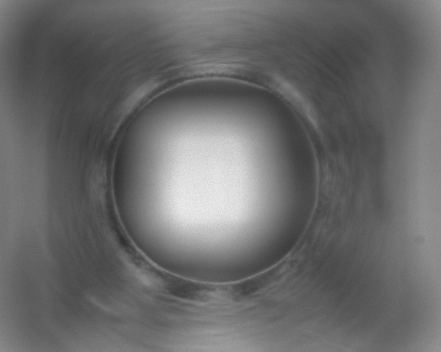 X0000054450107200508121921