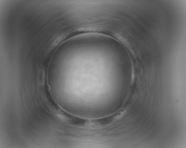 X0000054450109200508121921