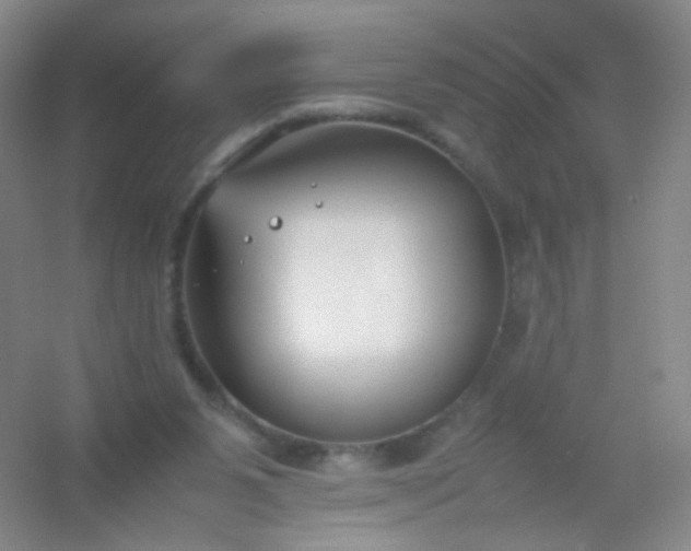 X0000054450111200508121921