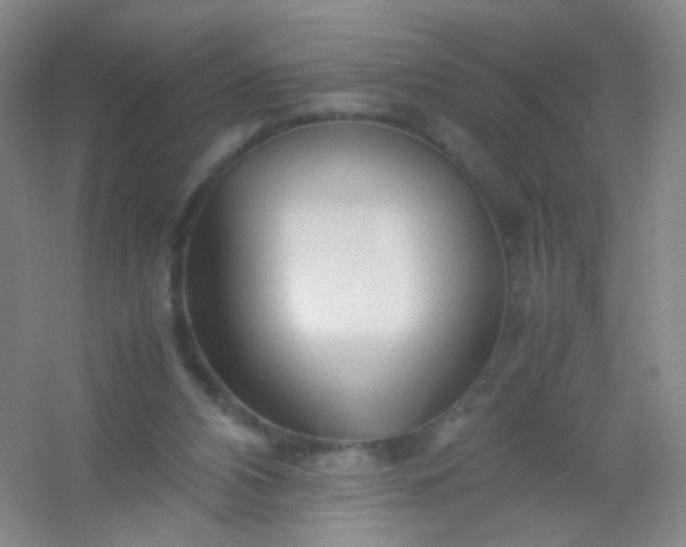 X0000054450112200508121921