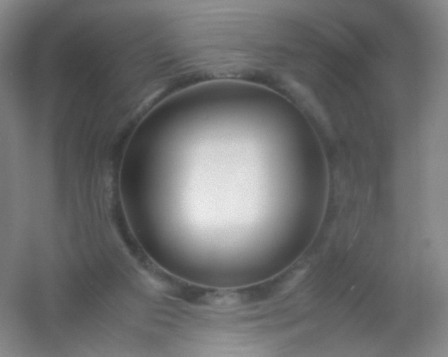 X0000054450113200508121921