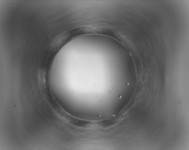 X0000054450115200508121921