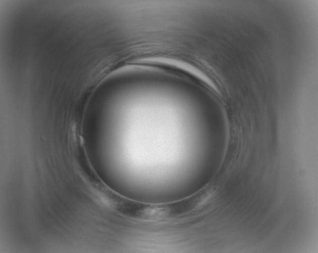X0000054450117200508121921