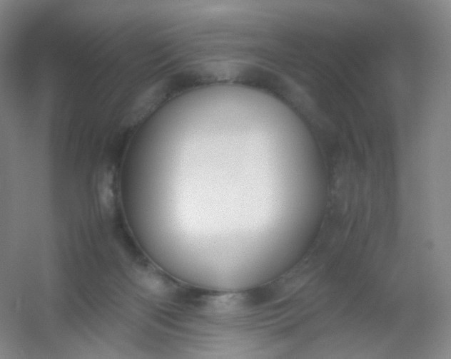 X0000054450122200508121921