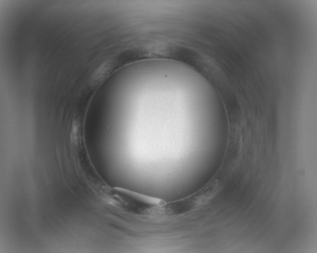 X0000054450123200508121921