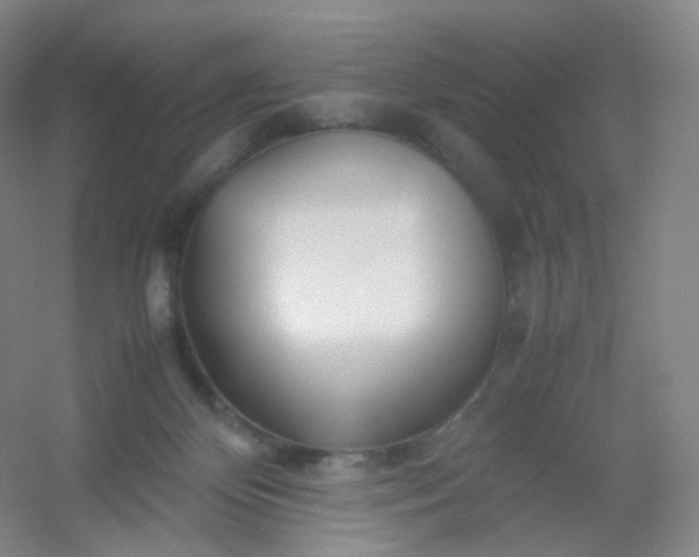 X0000054450124200508121921