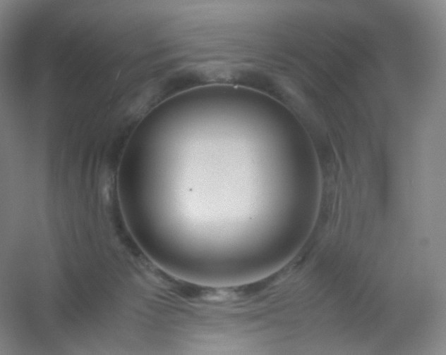 X0000054450125200508121921