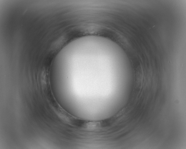 X0000054450126200508121921