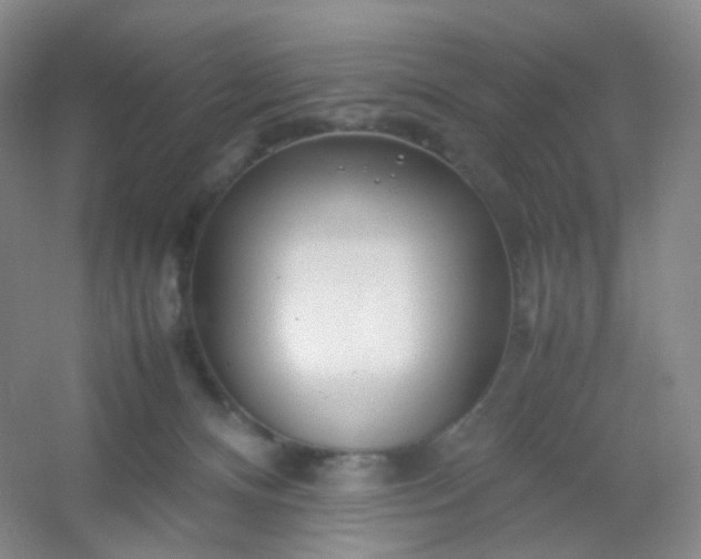 X0000054450128200508121921