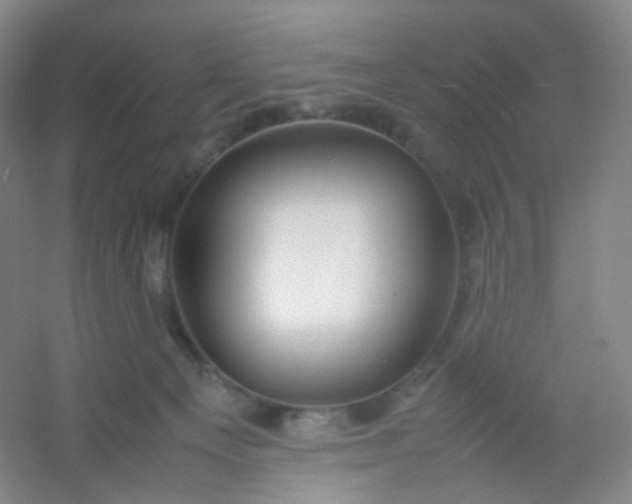 X0000054450129200508121921