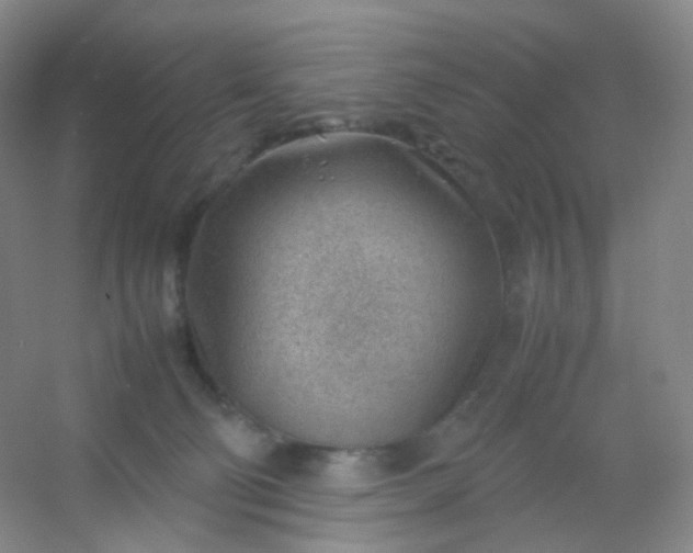 X0000054450130200508121921