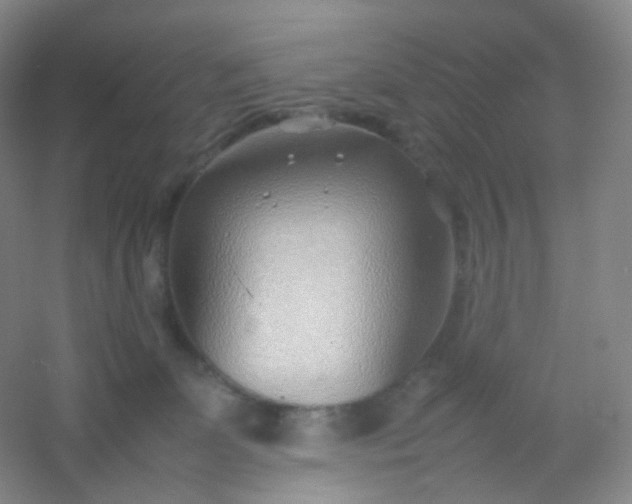 X0000054450131200508121921