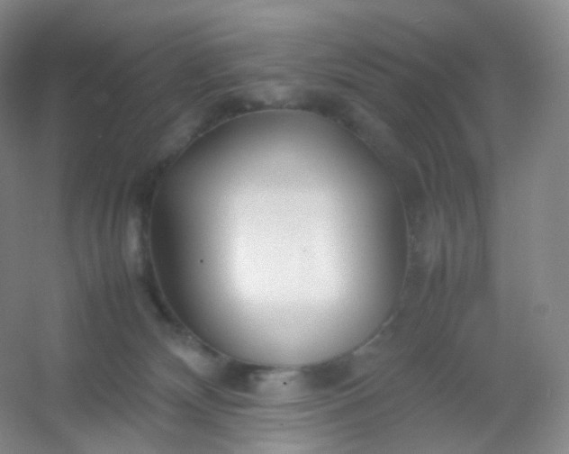 X0000054450132200508121921