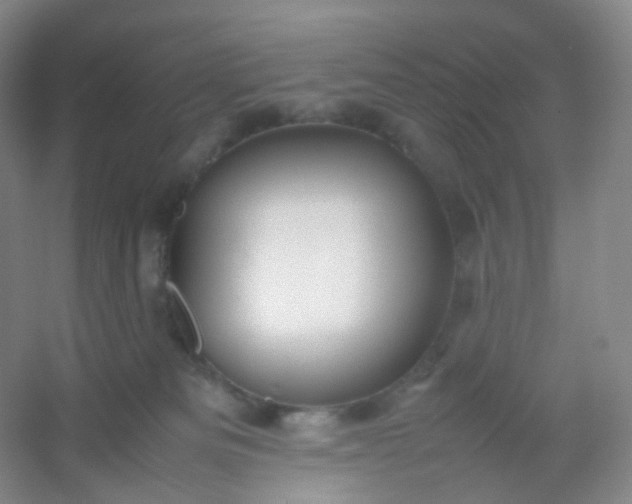 X0000054450133200508121921
