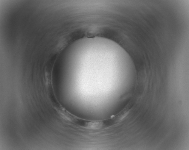 X0000054450135200508121921