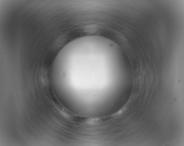 X0000054450136200508121921