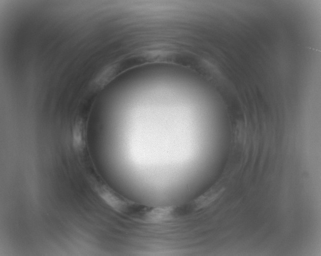X0000054450138200508121921