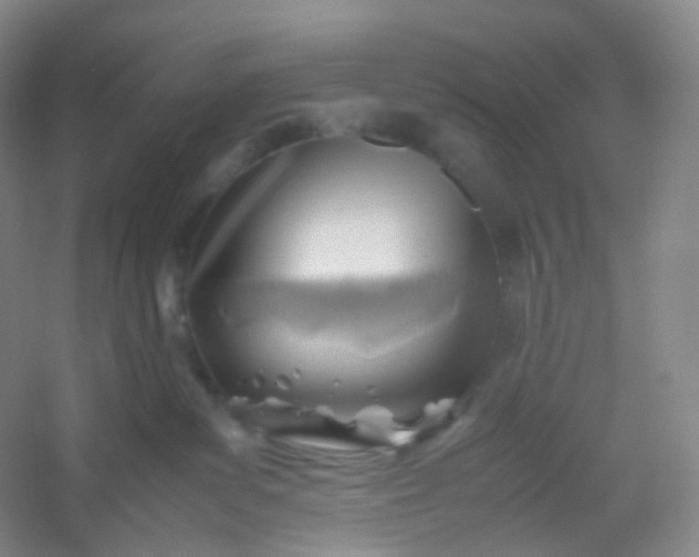 X0000054450139200508121921