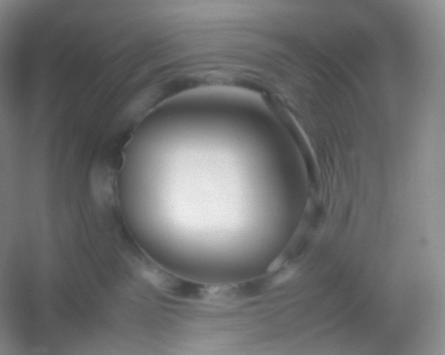 X0000054450141200508121921