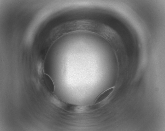 X0000054450142200508121921