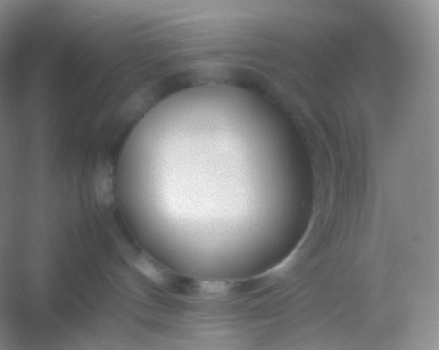 X0000054450144200508121921