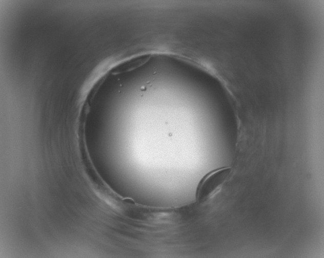 X0000054450151200508121920