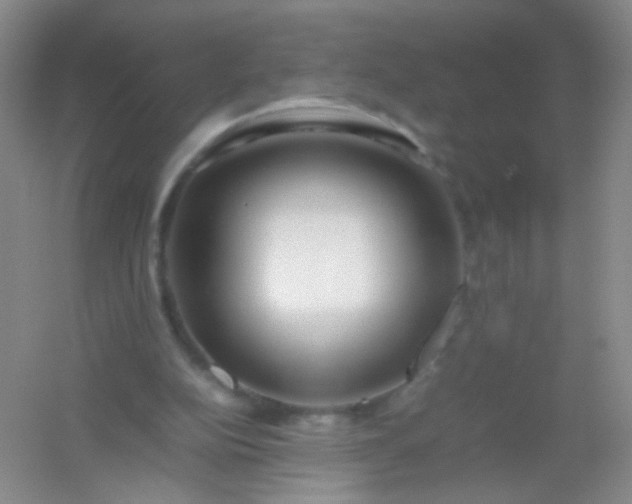 X0000054450152200508121920