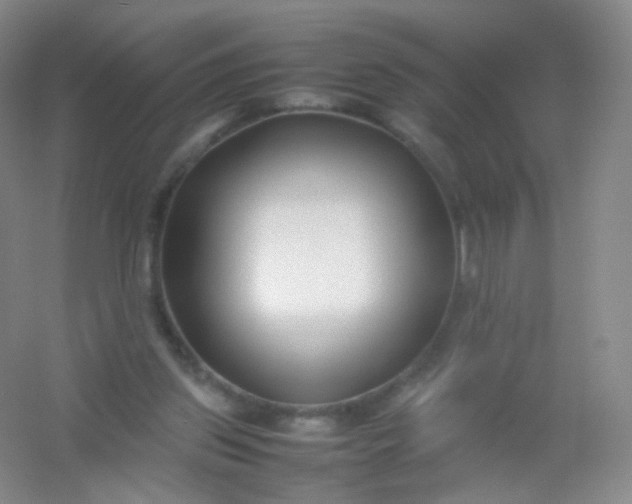 X0000054450157200508121920