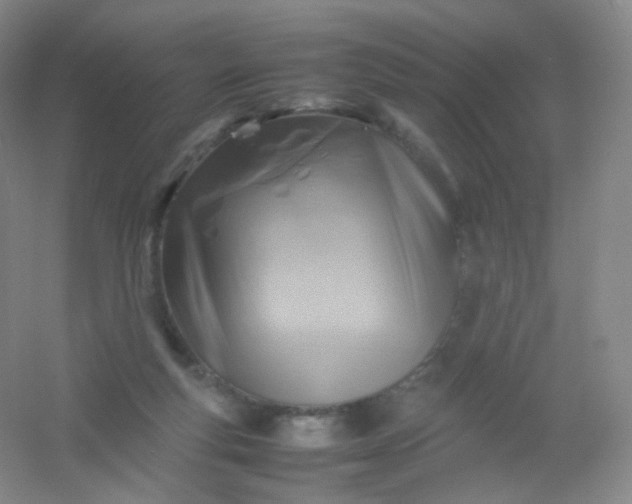 X0000054450163200508121920