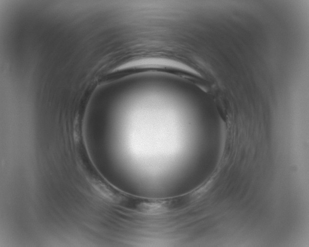 X0000054450170200508121920