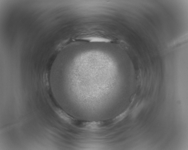 X0000054450182200508121920