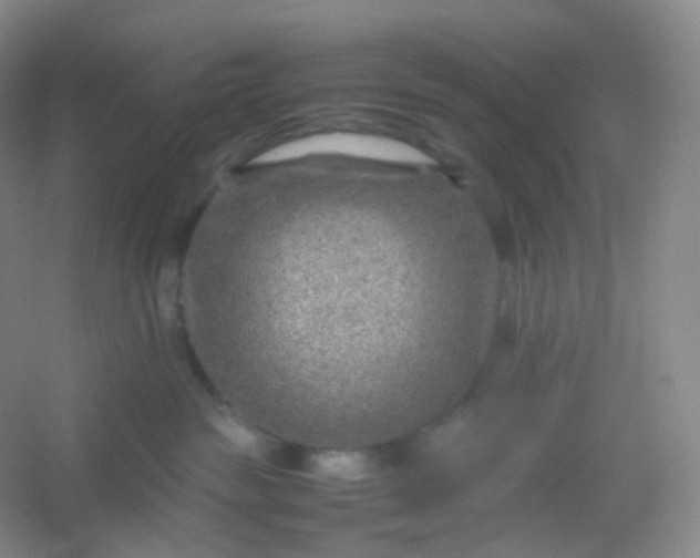 X0000054450189200508121921