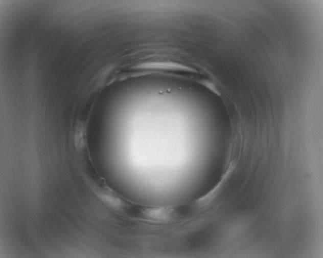 X0000054450191200508121921