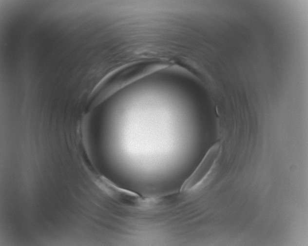 X0000054450192200508121921