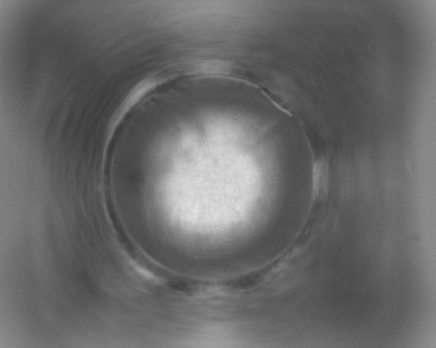 X0000054450195200508121920