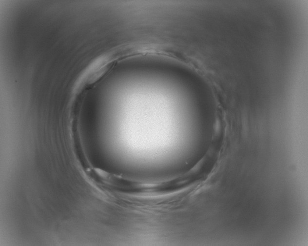 X0000054450197200508121920