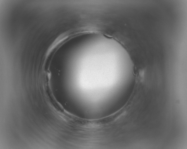 X0000054450198200508121920