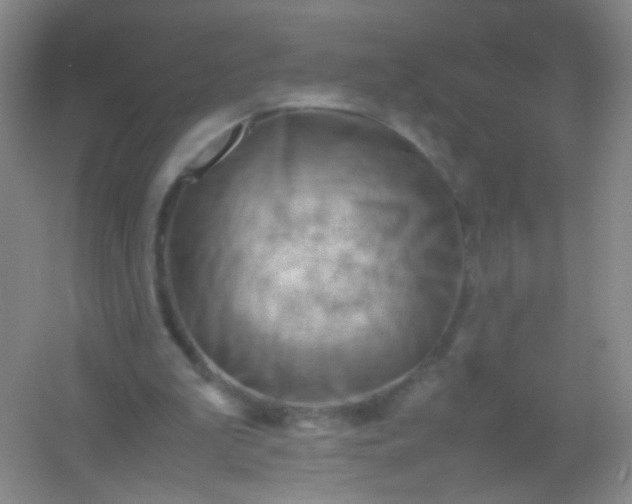 X0000054450199200508121920