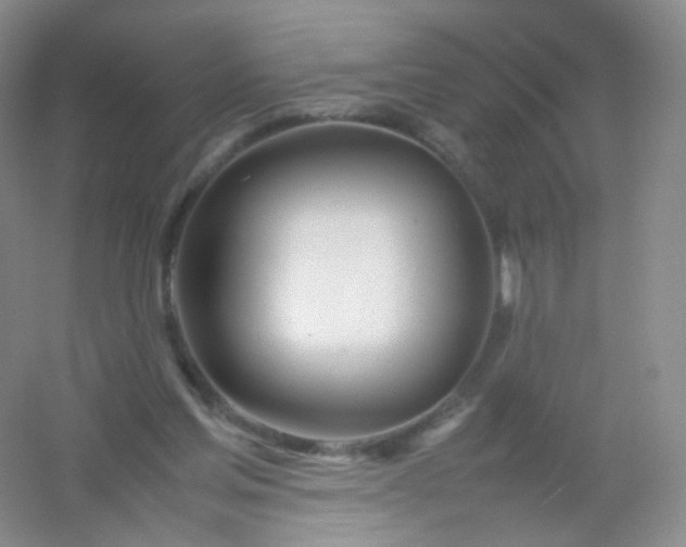 X0000054450205200508121920