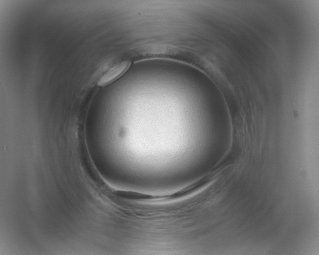 X0000054450207200508121919