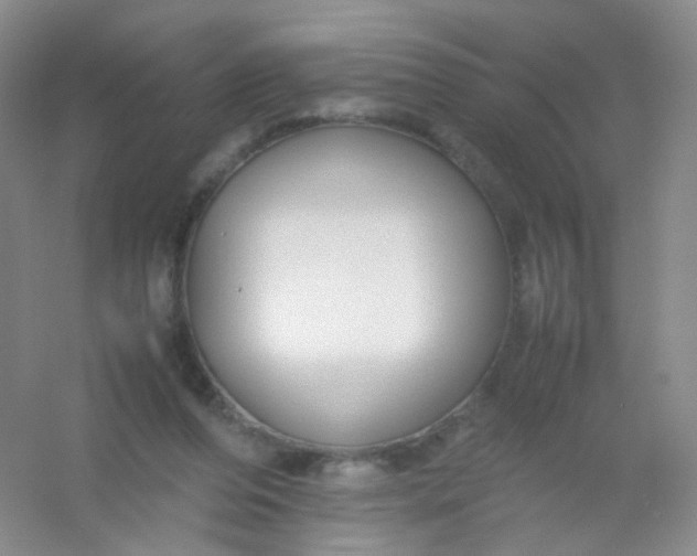 X0000054450208200508121919